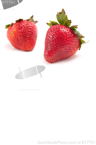 Image of Freshly Ripe Strawberries