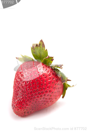 Image of Single Red Strawberry