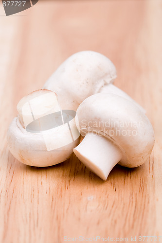 Image of fresh champignon