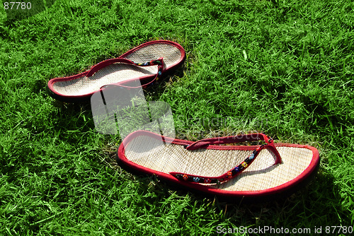 Image of Colorful  thongs