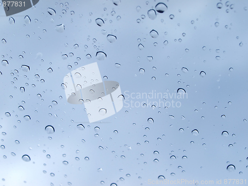 Image of Rain droplets