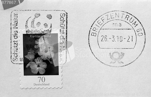 Image of Flower