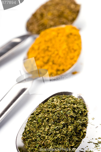 Image of ground spices