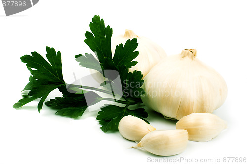 Image of garlics with green parsley