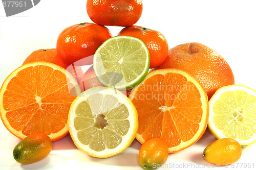 Image of citrus fruits