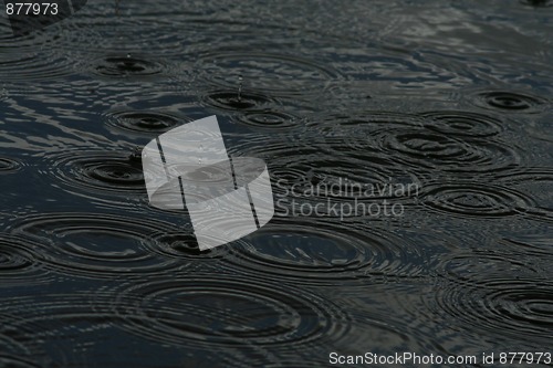 Image of Raindrops on a lake