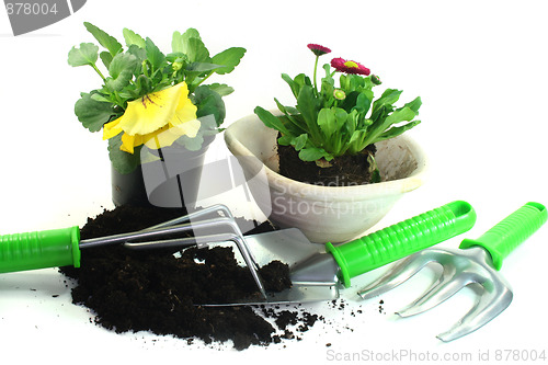 Image of Gardening with spring flowers