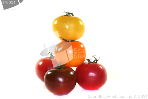 Image of stacked colorful tomatoes