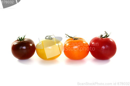 Image of colorful tomatoes
