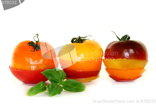 Image of Layers of multicolored tomatoes