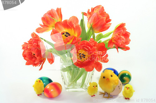 Image of Bunch of tulips