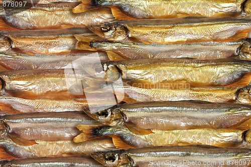 Image of Abstract background of smoked golden fishs.