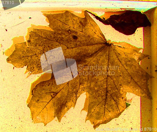 Image of shadow