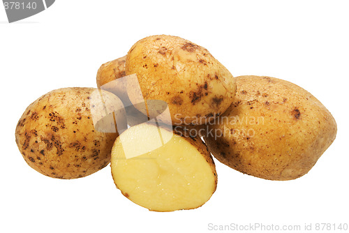 Image of Group of yellow potatos.