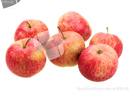 Image of Group of red-yellow apples.