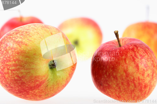 Image of Group of red-yellow apples.