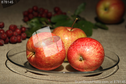Image of Apples on of-focus textile background.