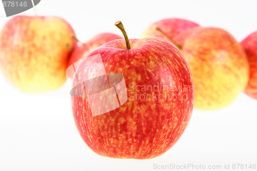 Image of Group of red-yellow apples.