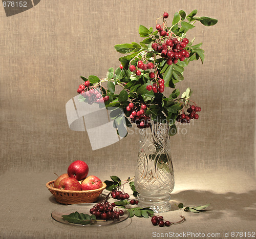 Image of Bouquet of ashberry in glass vase and group of a red apples.