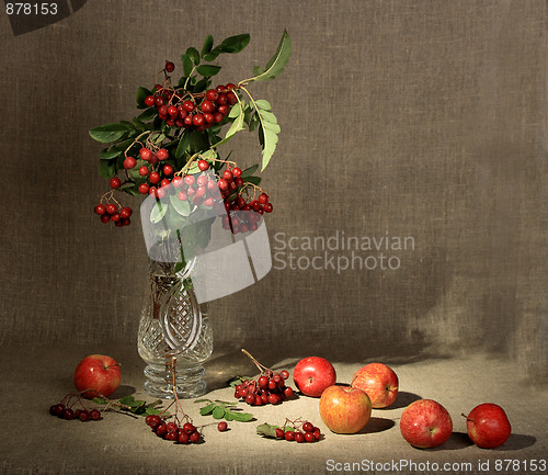 Image of Bouquet of ashberry in glass vase and group of a red apples.