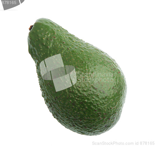 Image of Single green avocado.