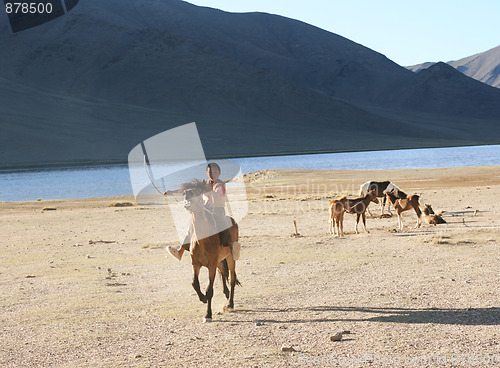 Image of Mongolia