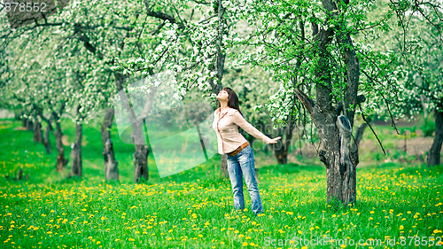 Image of Woman smelling apple flowers