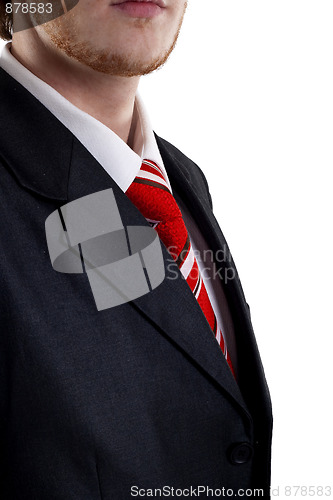 Image of Business man Suit