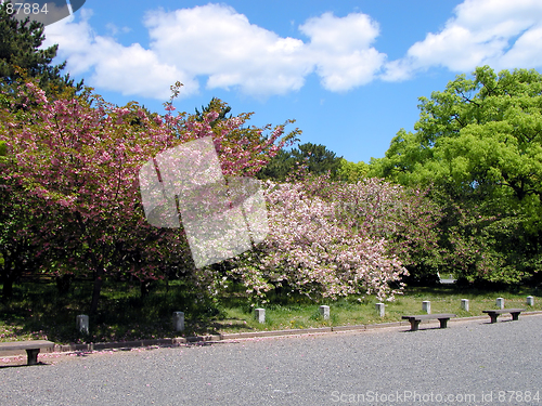 Image of Spring Park