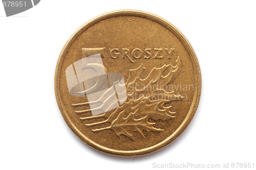 Image of Polish coin