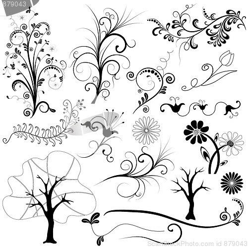 Image of Set graphic floral element