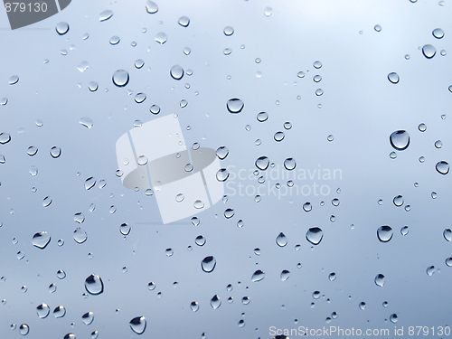 Image of Rain droplets