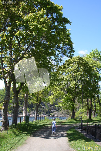 Image of Boy in the park