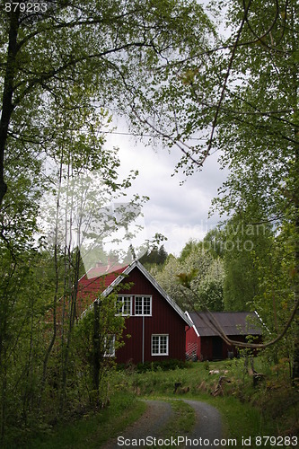 Image of House in the wood