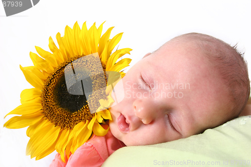 Image of Baby in dreamland