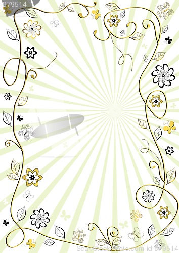 Image of White and golden floral frame