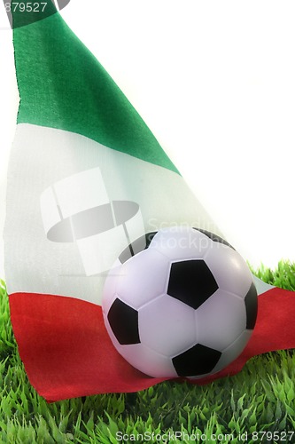 Image of Soccer World Cup 2010