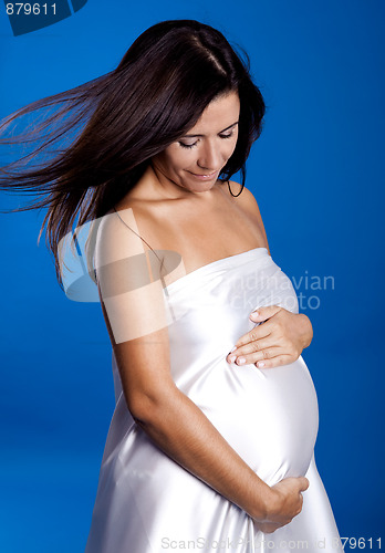 Image of Pregnancy