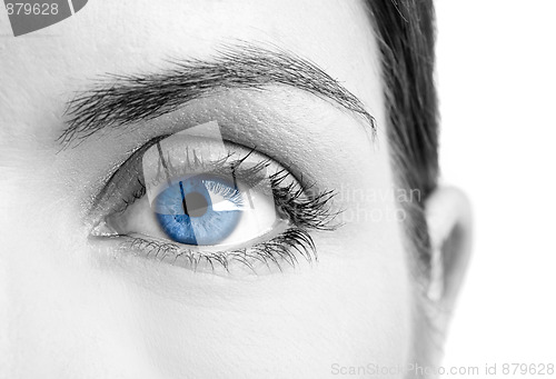 Image of Blue eye
