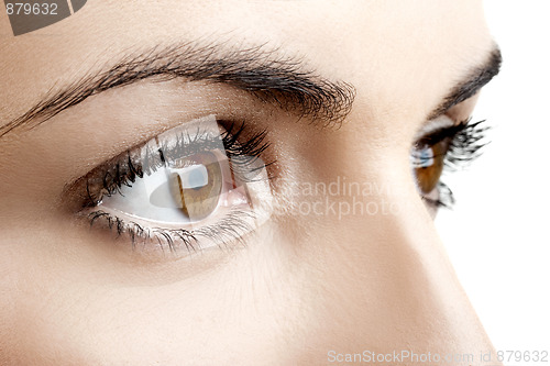 Image of Female eyes