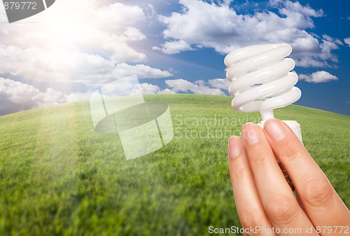 Image of Female Hand with Energy Saving Light Bulb Over Field