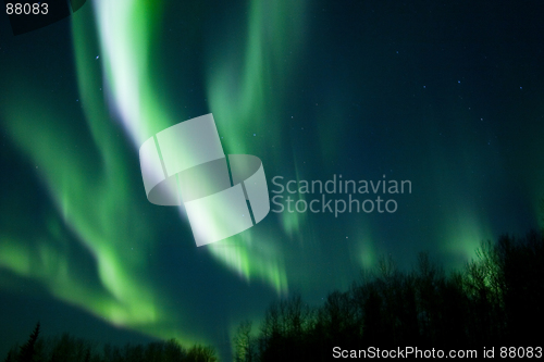 Image of Colors of the northern lights over trees