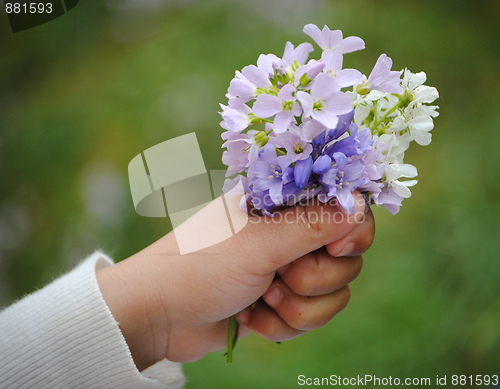 Image of holding bouquet