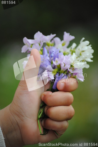 Image of holding flowers