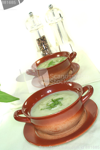 Image of Wild herb soup