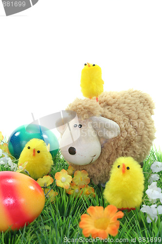 Image of Sheep with eggs and chicks in a meadow