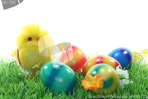 Image of Easter eggs and chicks in a meadow