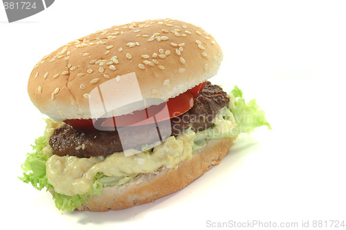 Image of Hamburger with fresh vegetables