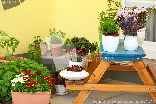 Image of Terrace or roof gardening