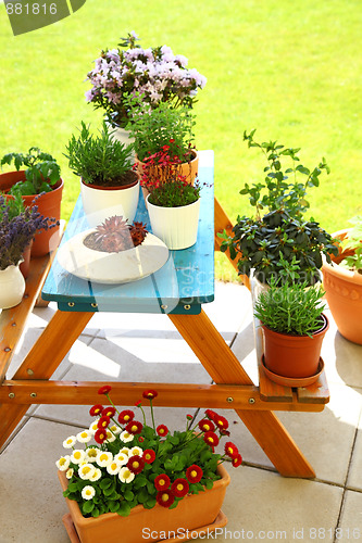 Image of Terrace or roof gardening